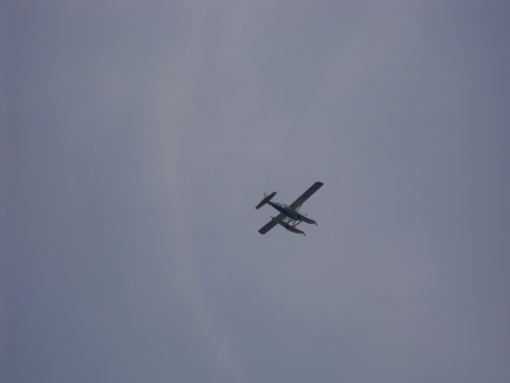 DSCF0095 [Desktop Auflösung].JPG