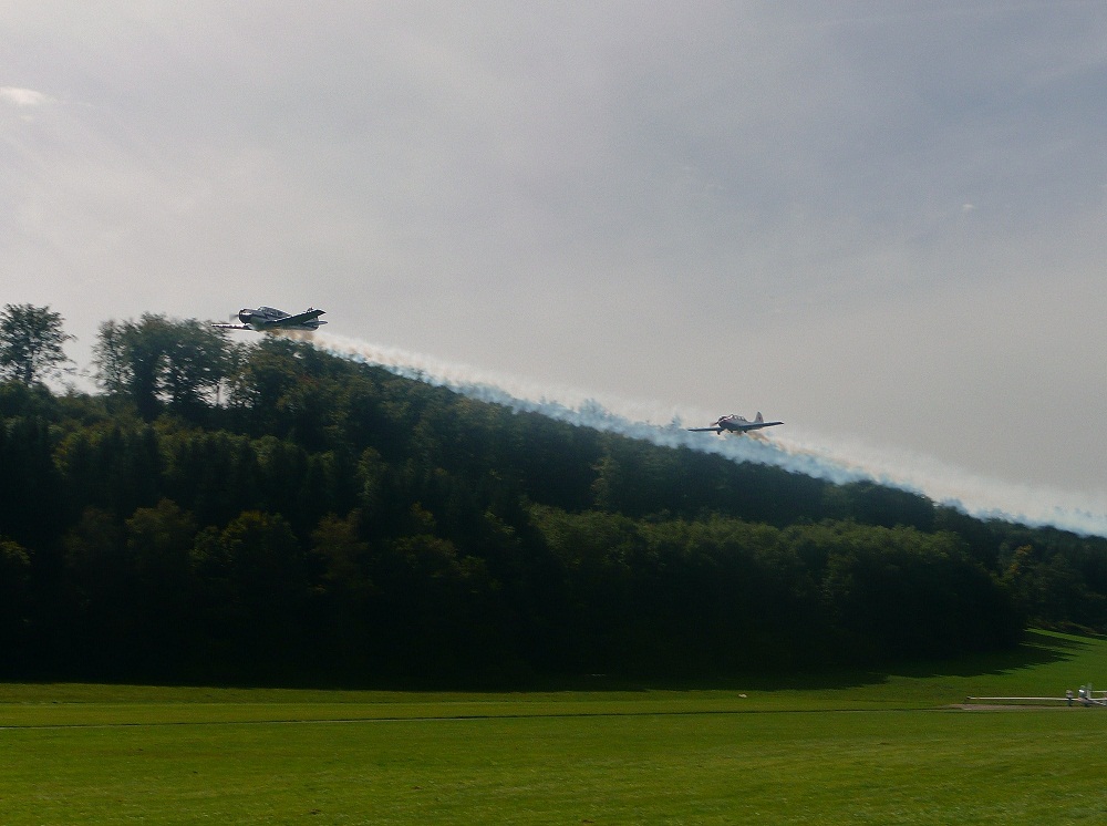 Nochmal die zwei Yak´s