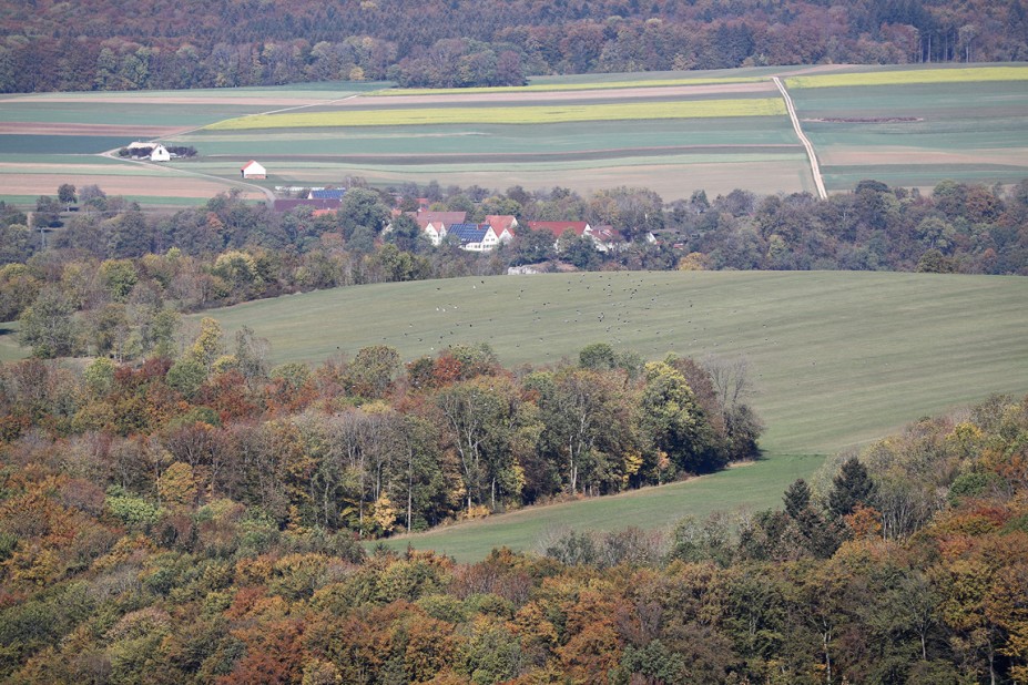 IMG_1505.JPG (591.42 KiB) 37294 mal betrachtet IMG_1505.JPG