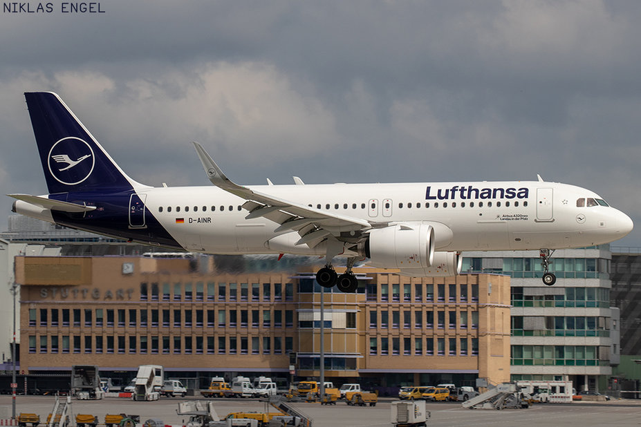 IMG_8671.jpg (519.56 KiB) 3770 mal betrachtet IMG_8671.jpg