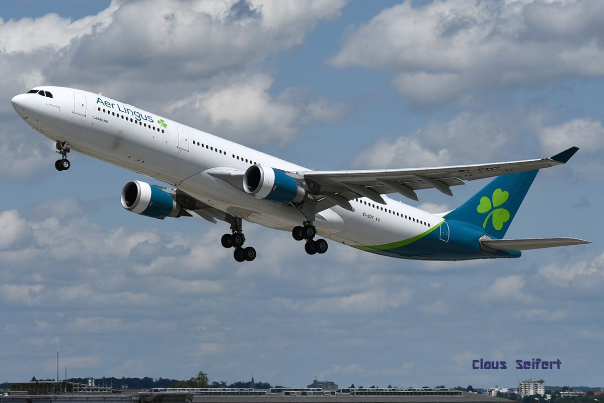 EI-EDY.jpg