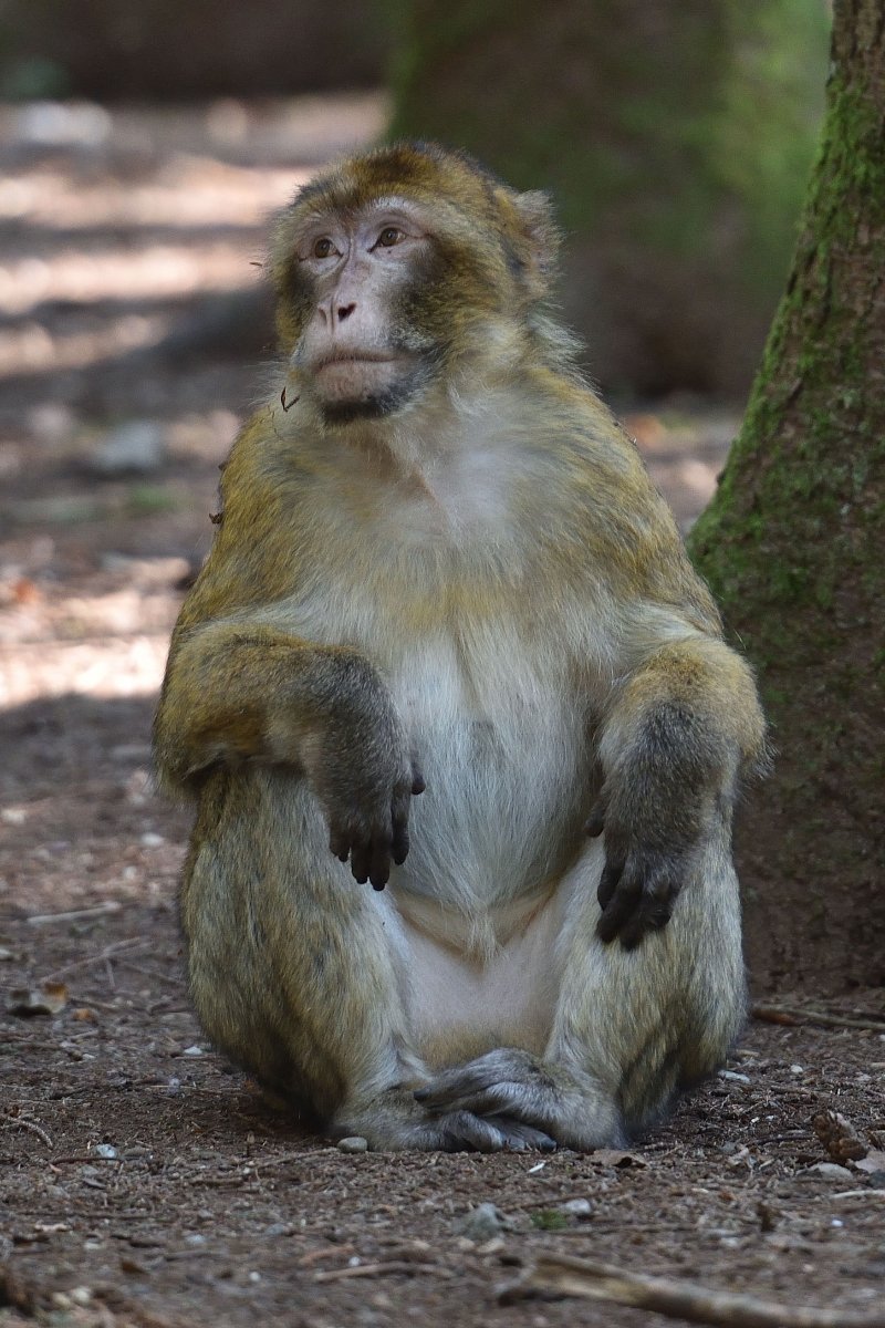 DSC_9336.jpg