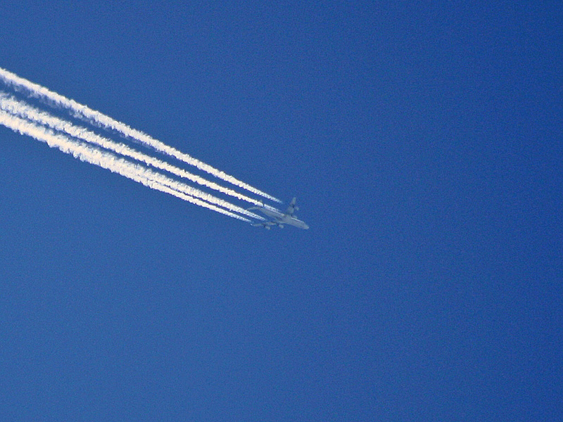 Kopie (2) von IMG_3053.JPG