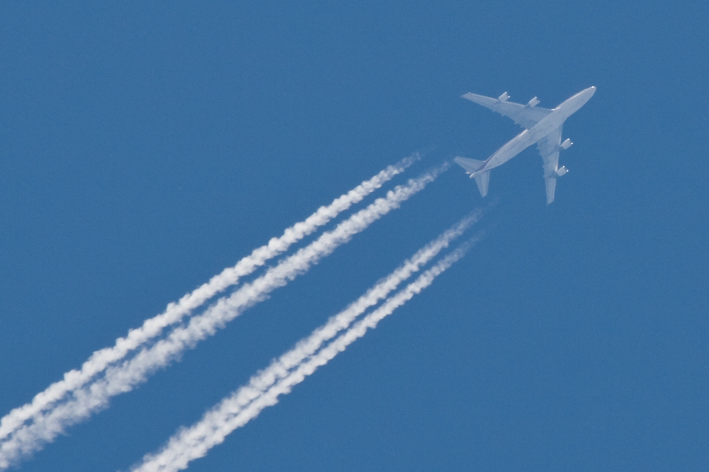 comp_DPP_ kola1655.jpg