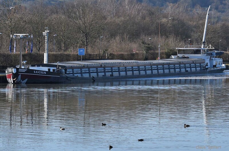 LUCIUS (02315216).jpg (461.88 KiB) 51786 mal betrachtet LUCIUS (02315216).jpg