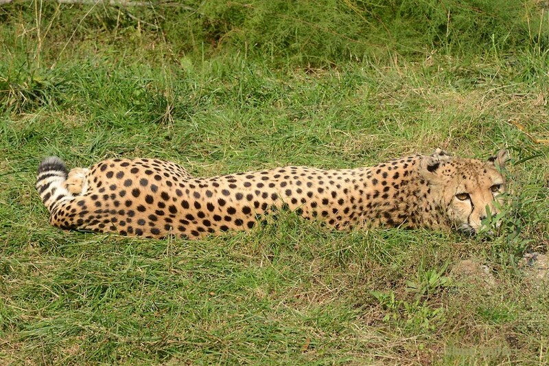 6128.jpg (412.95 KiB) 25494 mal betrachtet 6128.jpg