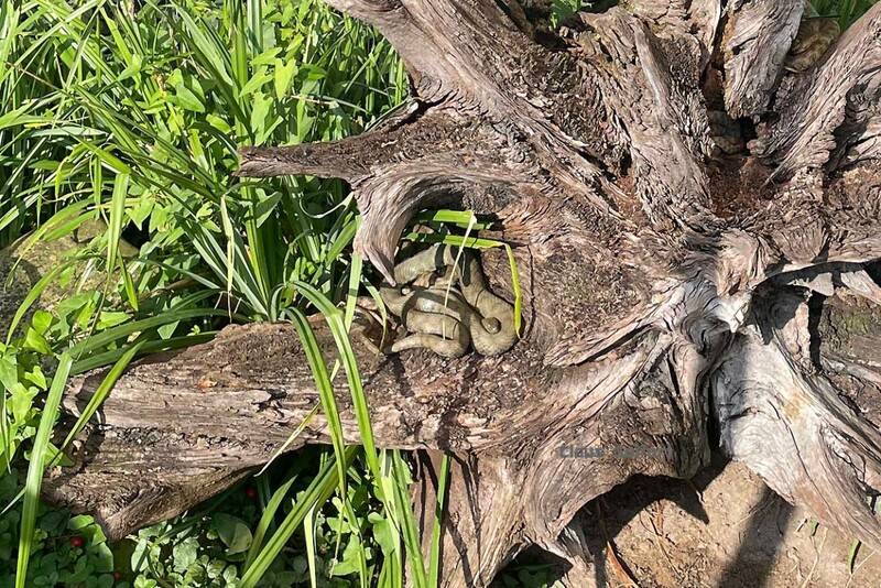 5741.jpg (428.59 KiB) 25494 mal betrachtet 5741.jpg