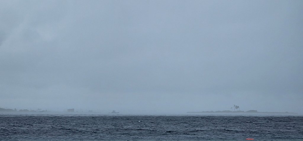 20241126_144137.jpg