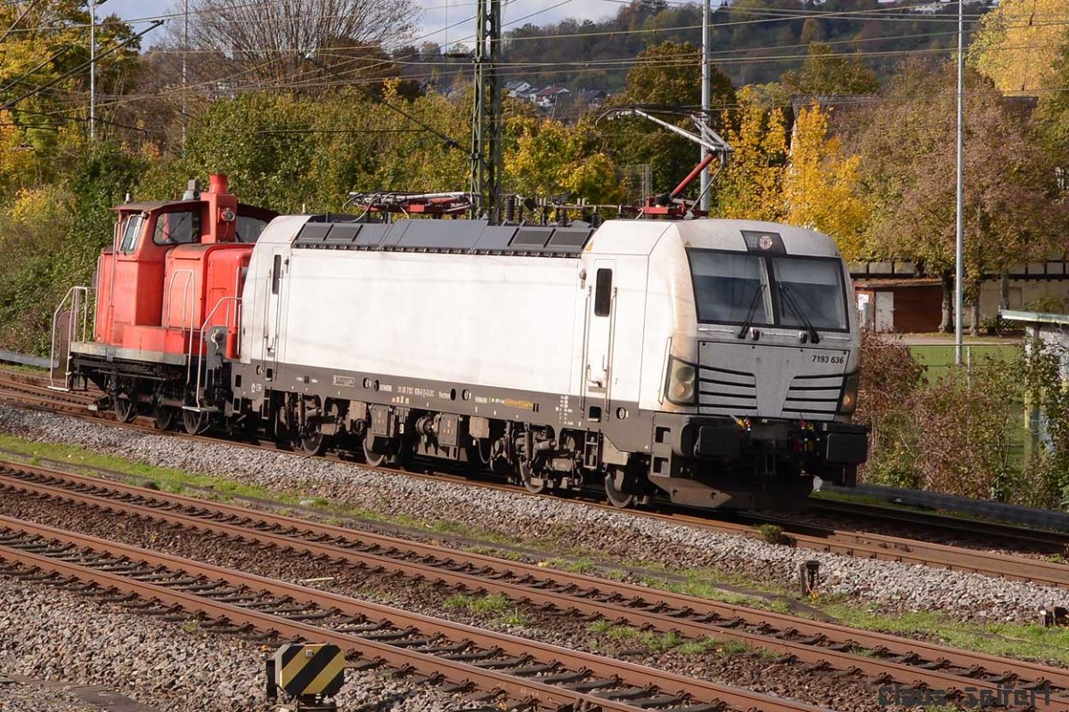 7193 636-6  363 118-1.jpg