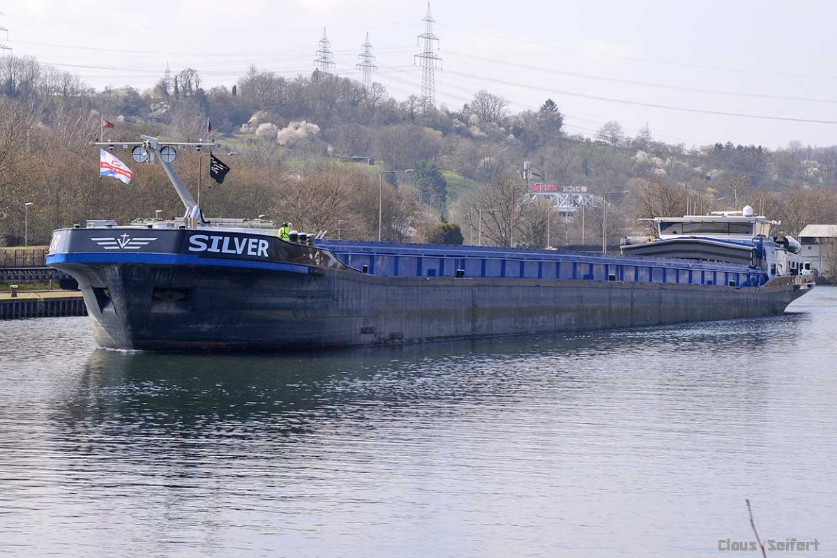 SILVER (02332206).jpg