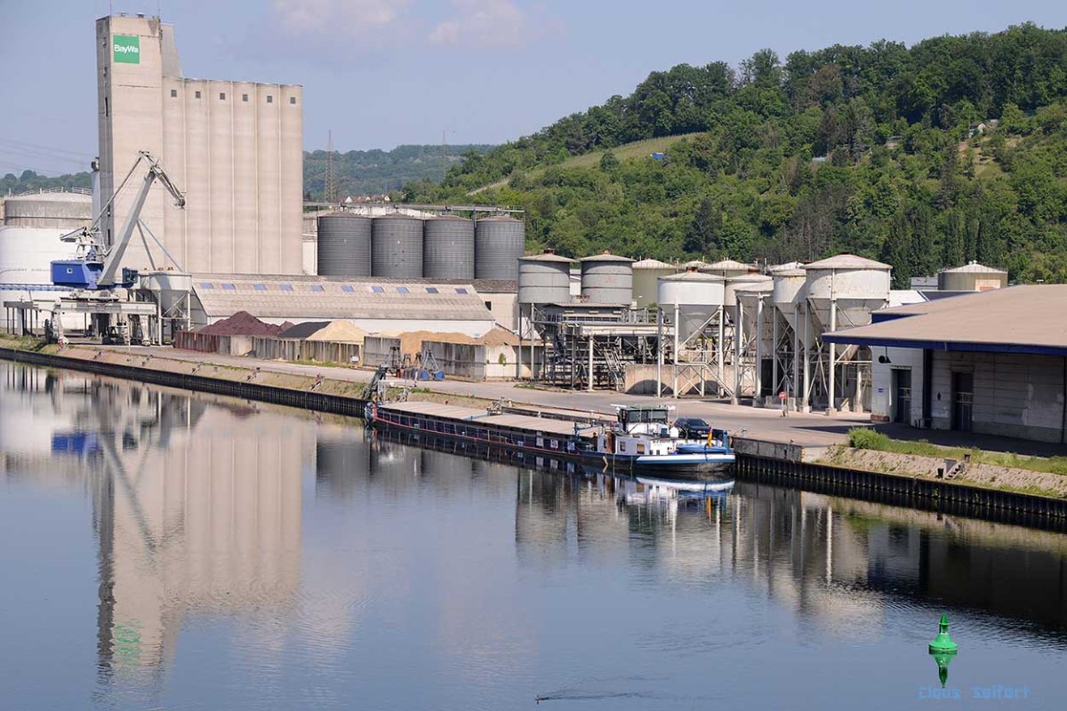 MADDY (040 08690).jpg