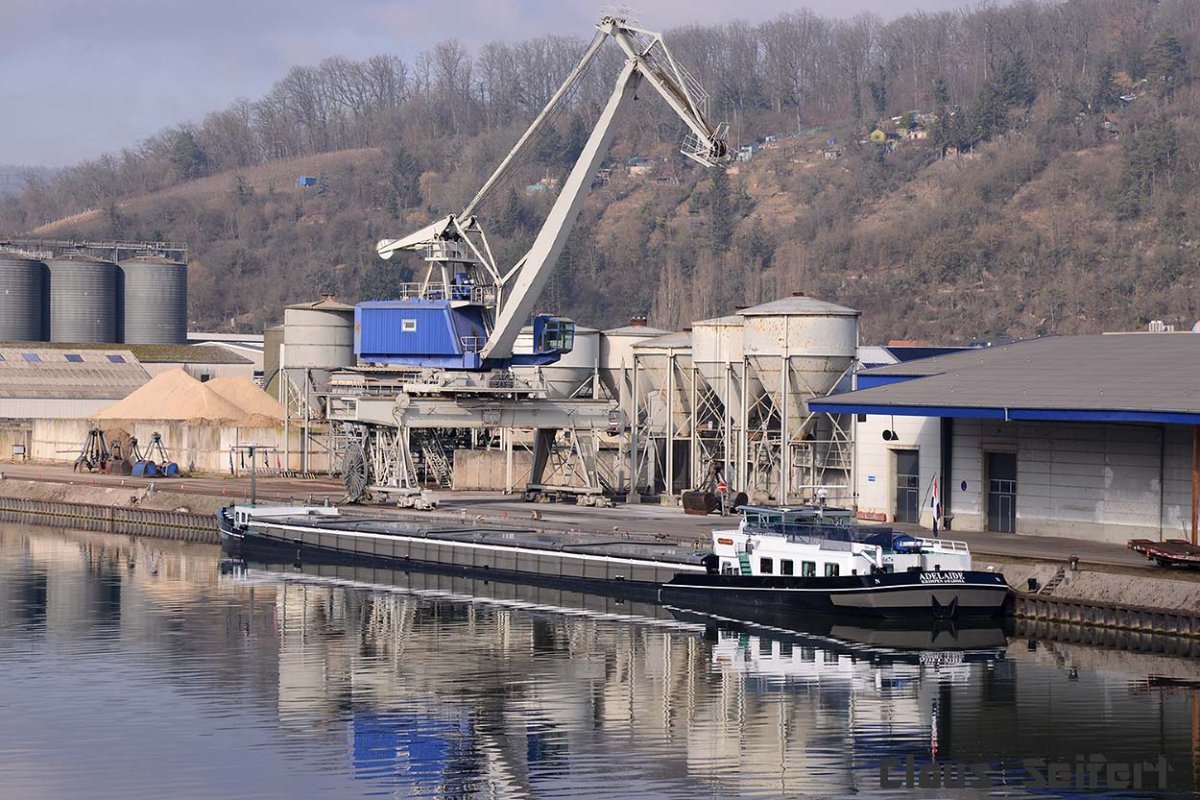 ADELAIDE (244710331).jpg