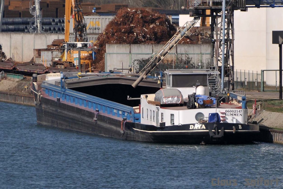 DAYA (205430290).jpg