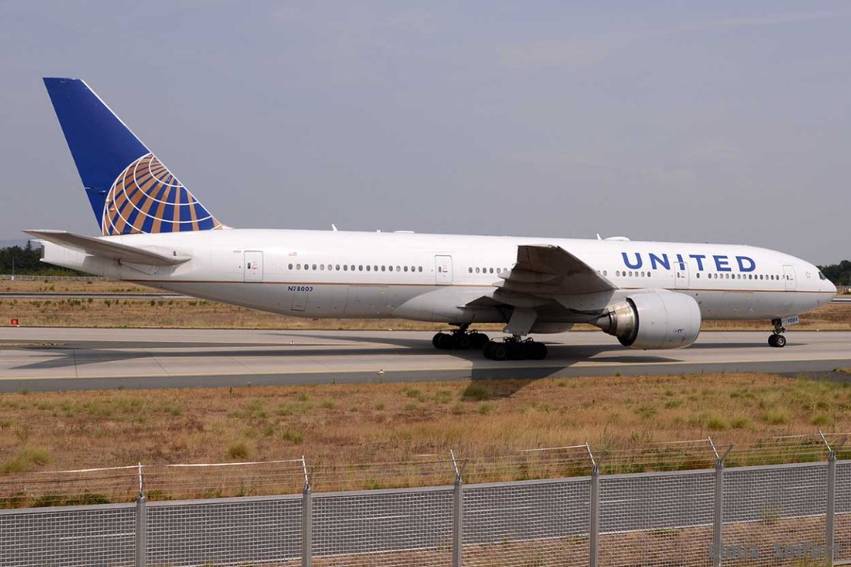 N78003.2.jpg