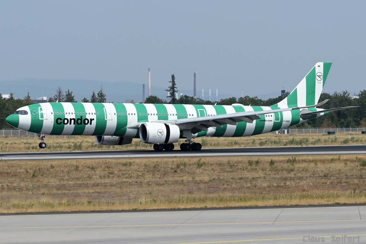D-ANRD.1.jpg